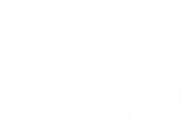 Tire Point Automotive
